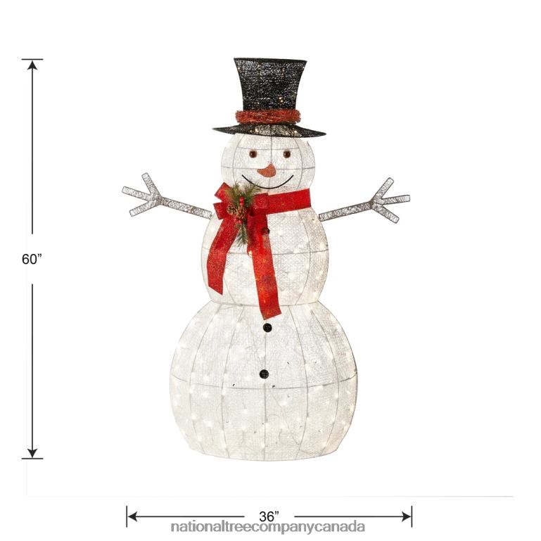 National Tree Company 60\ Snowman Decoration with Warm White LED Lights 68R08602