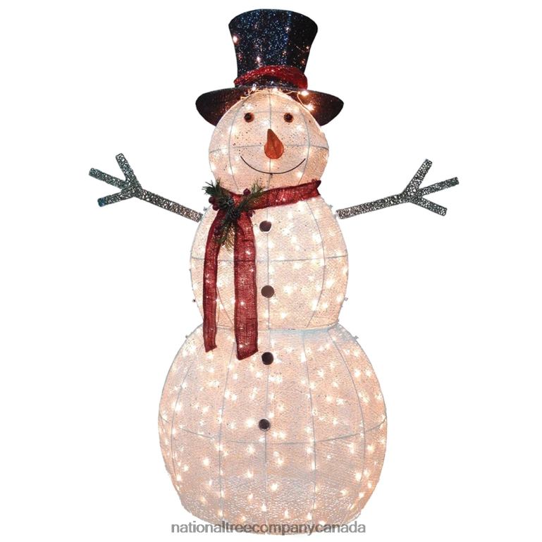 National Tree Company 60\ Snowman Decoration with Warm White LED Lights 68R08602