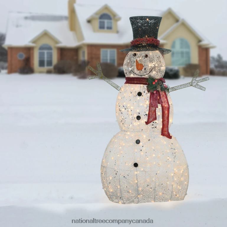 National Tree Company 60\ Snowman Decoration with Warm White LED Lights 68R08602