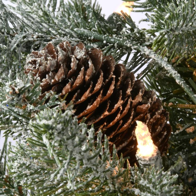 National Tree Company 65 ft Snowy Morgan Spruce Slim Tree with Clear Lights 68R0872