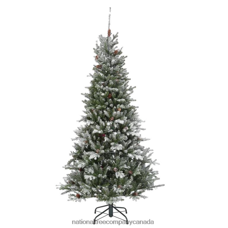 National Tree Company 65 ft Snowy Morgan Spruce Slim Tree with Clear Lights 68R0872