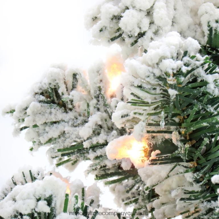 National Tree Company 75 Feet Pre-lit Artificial Frosted Bonnyville Spruce Hinged Tree 700 Clear Lights- UL 68R0890