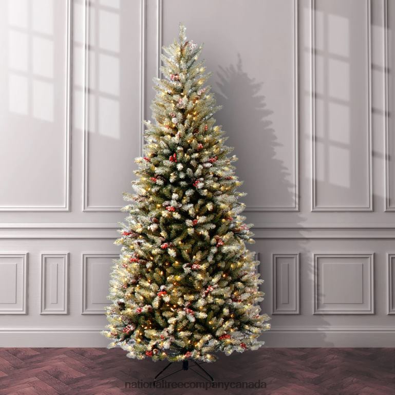 National Tree Company 75 ft Dunhill(R) Fir Slim Tree with Clear Lights 68R0880