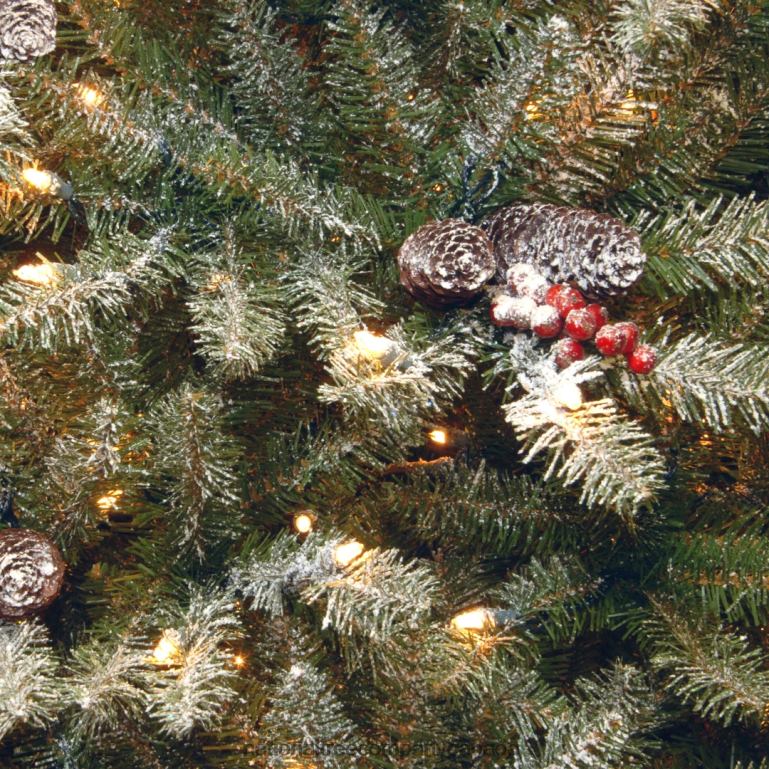 National Tree Company 75 ft Dunhill(R) Fir Slim Tree with Clear Lights 68R0880