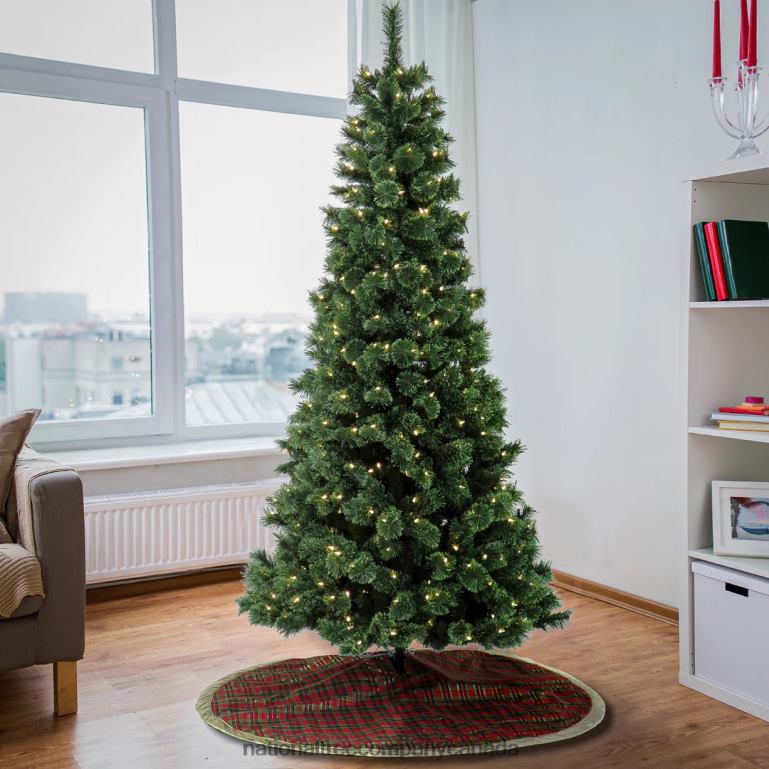National Tree Company 75 ft Pre-Lit Pilchuck Pine Tree with LED Lights 68R08195