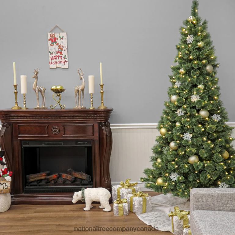 National Tree Company 75 ft Pre-Lit Pilchuck Pine Tree with LED Lights 68R08195