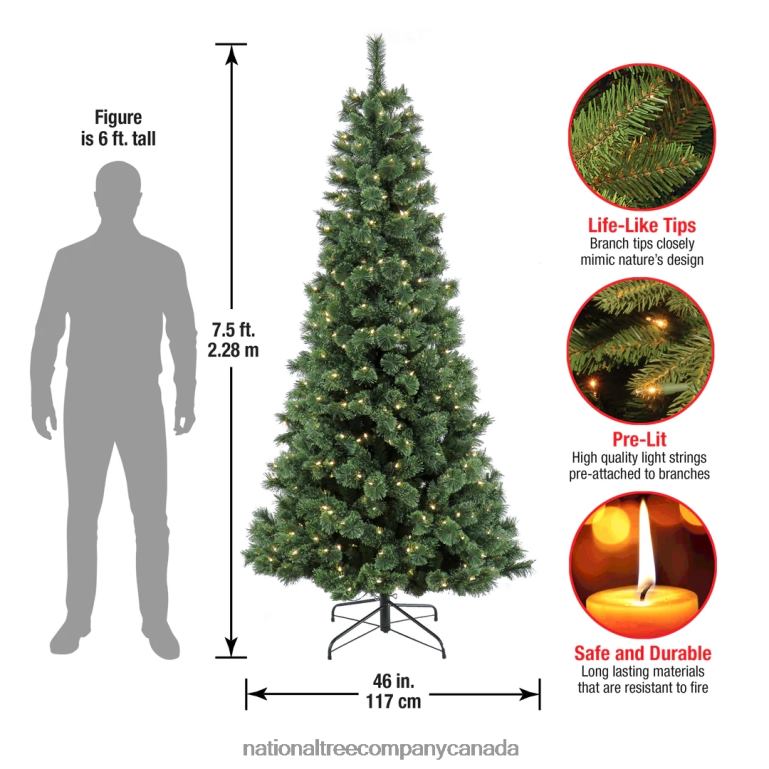 National Tree Company 75 ft Pre-Lit Pilchuck Pine Tree with LED Lights 68R08195