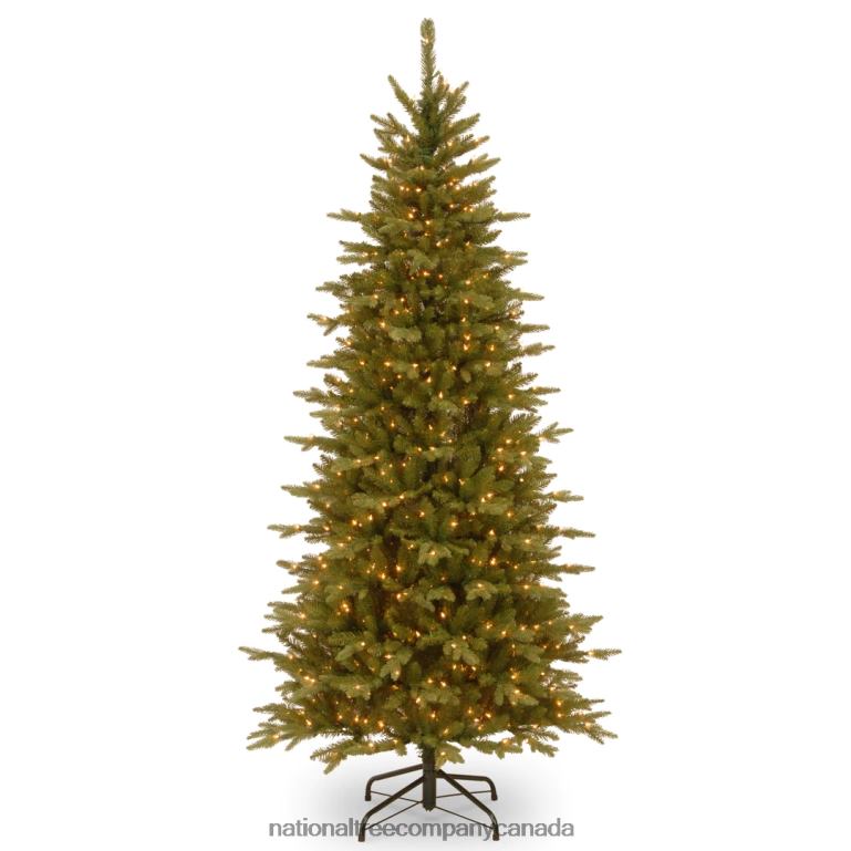 National Tree Company 75 ft Sierra Spruce Slim Tree with Clear Lights 68R0824