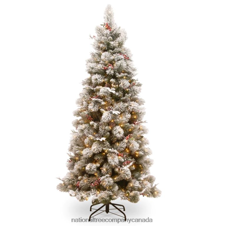 National Tree Company 75 ft Snowy Bedford Slim Pine Tree with Clear Lights 68R08140