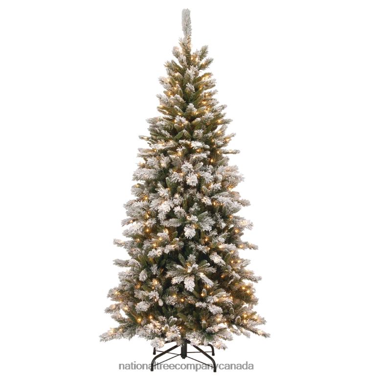 National Tree Company 75 ft Snowy Mountain Pine Slim Pine Tree with Clear Lights 68R0842