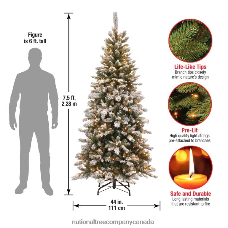 National Tree Company 75 ft Snowy Mountain Pine Slim Pine Tree with Clear Lights 68R0842
