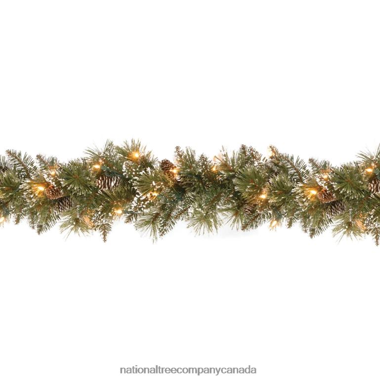 National Tree Company 9 ft Glittery Bristle Pine Garland with Clear Lights 68R08333