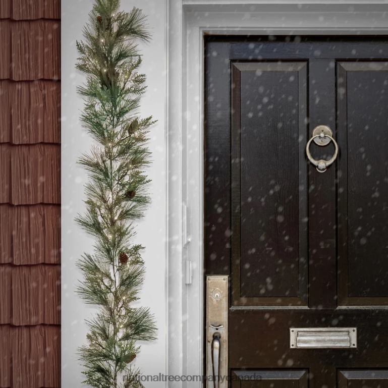 National Tree Company 9 ft HGTV Home Collection Pre-Lit Black Tie Cedar Garland 68R08340