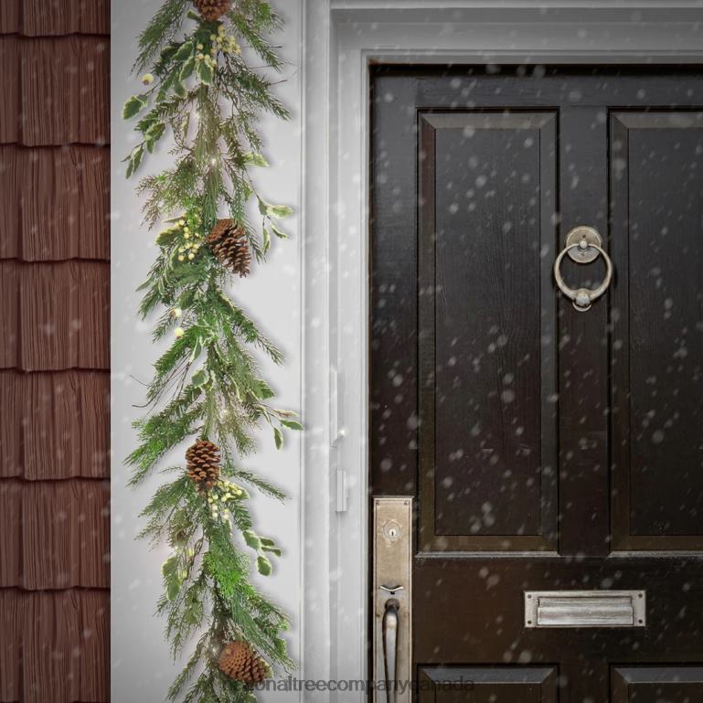 National Tree Company 9 ft HGTV Home Collection Pre-Lit Holly and Berry Garland 68R08351