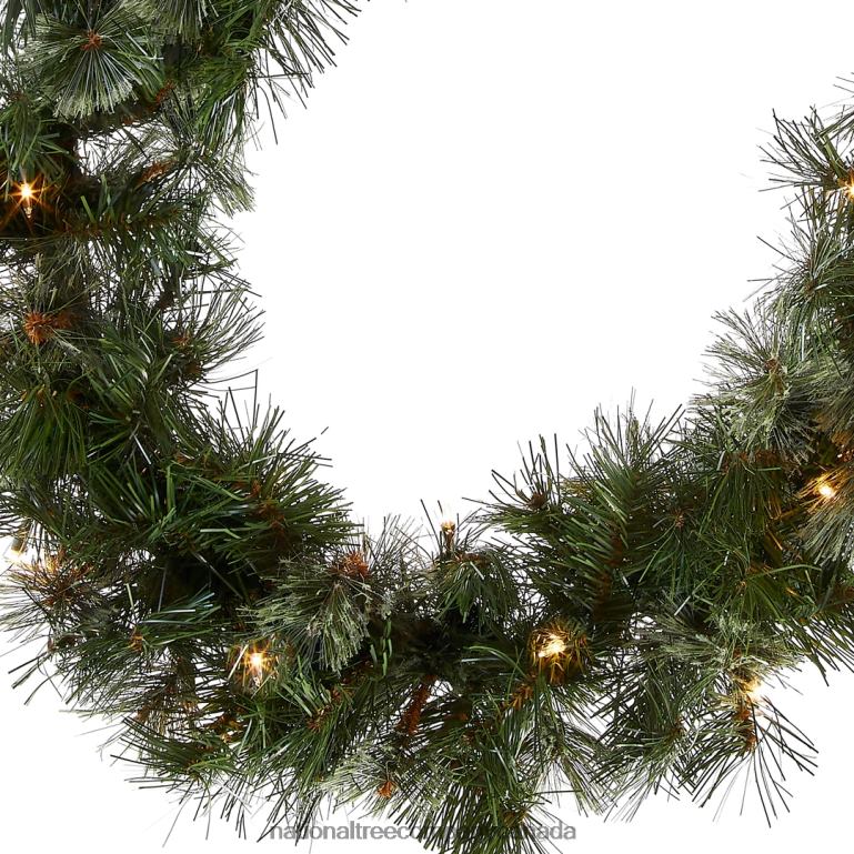 National Tree Company 9 ft Wispy Willow Garland with Clear Lights 68R08327