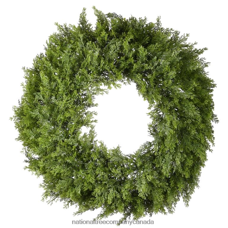 National Tree Company Artificial Arborvitae Christmas Wreath Rustic Style Decor 24 in 68R08274