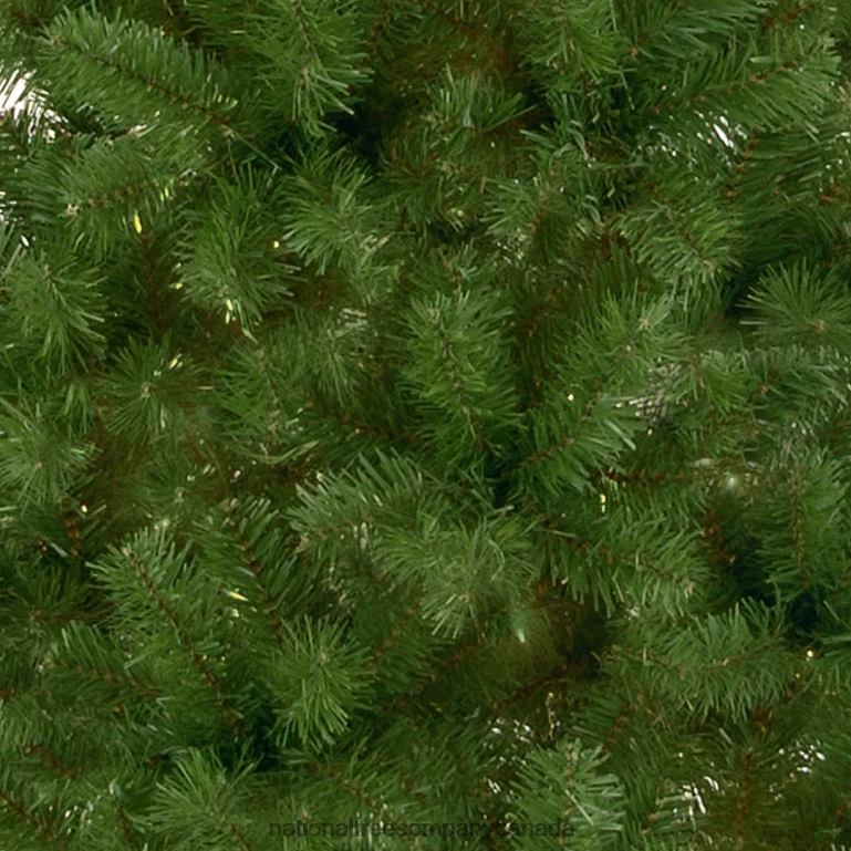 National Tree Company Artificial Christmas Tree Canadian Grande Fir Green White Lights Includes Metal Base 75 Feet 68R08152