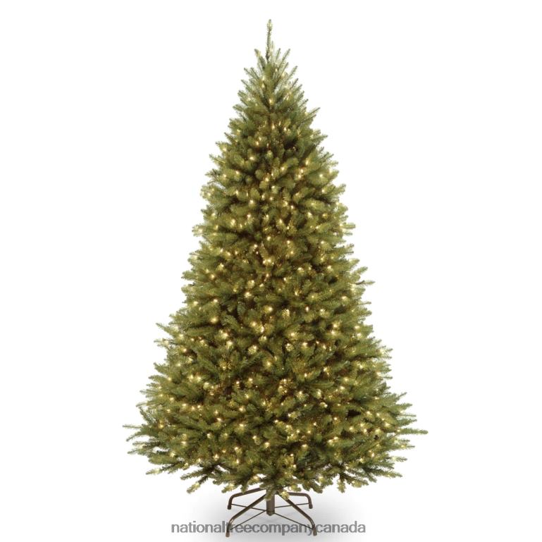 National Tree Company Artificial Pre-Lit Medium Christmas Tree Green Kingswood Fir Dual Color LED Lights Includes Stand 75 Feet 68R08133