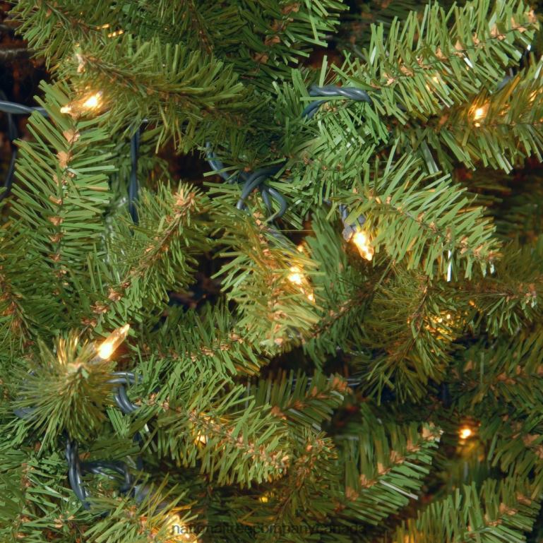 National Tree Company Artificial Pre-Lit Medium Christmas Tree Green Kingswood Fir Dual Color LED Lights Includes Stand 75 Feet 68R08133