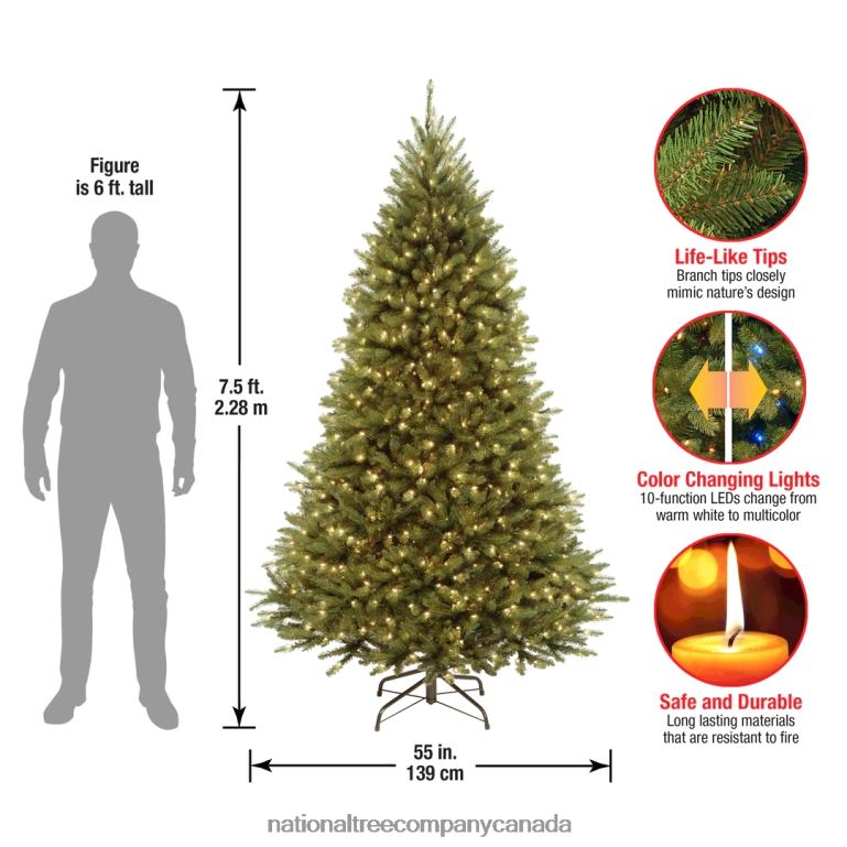 National Tree Company Artificial Pre-Lit Medium Christmas Tree Green Kingswood Fir Dual Color LED Lights Includes Stand 75 Feet 68R08133