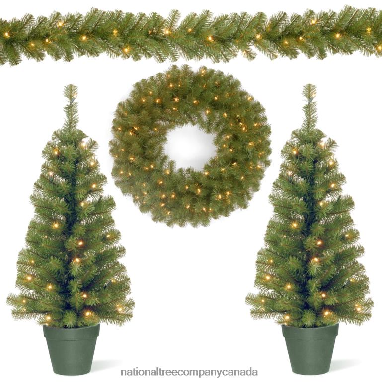 National Tree Company Evergreen Assortment with Battery Operated LED Lights 68R08512