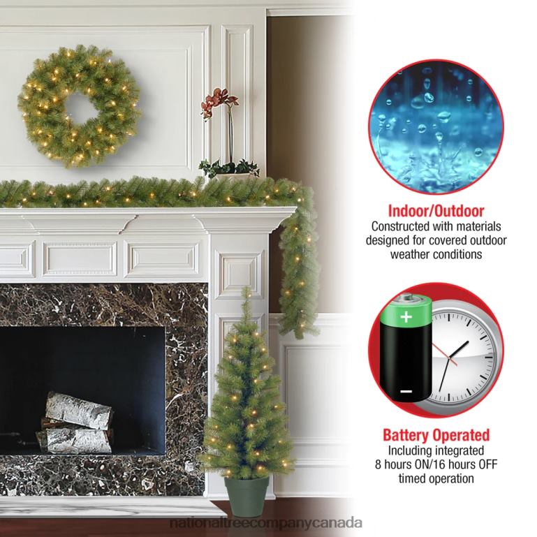 National Tree Company Evergreen Assortment with Battery Operated LED Lights 68R08512