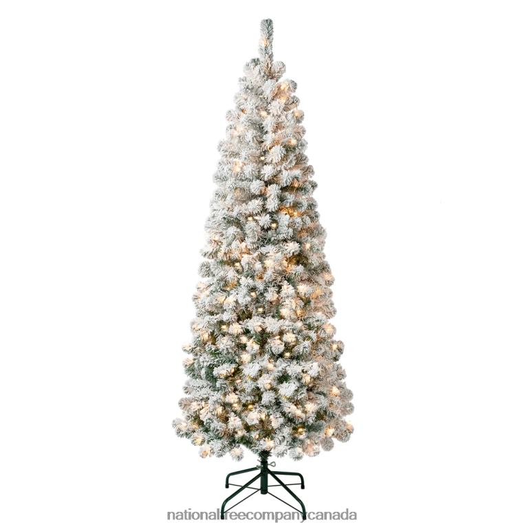 National Tree Company First Traditions Pre-Lit Acacia Flocked Tree Medium Christmas Tree Clear Incandescent Lights Plug In 6 ft 68R0841