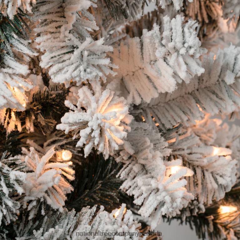 National Tree Company First Traditions Pre-Lit Acacia Flocked Tree Medium Christmas Tree Clear Incandescent Lights Plug In 6 ft 68R0841