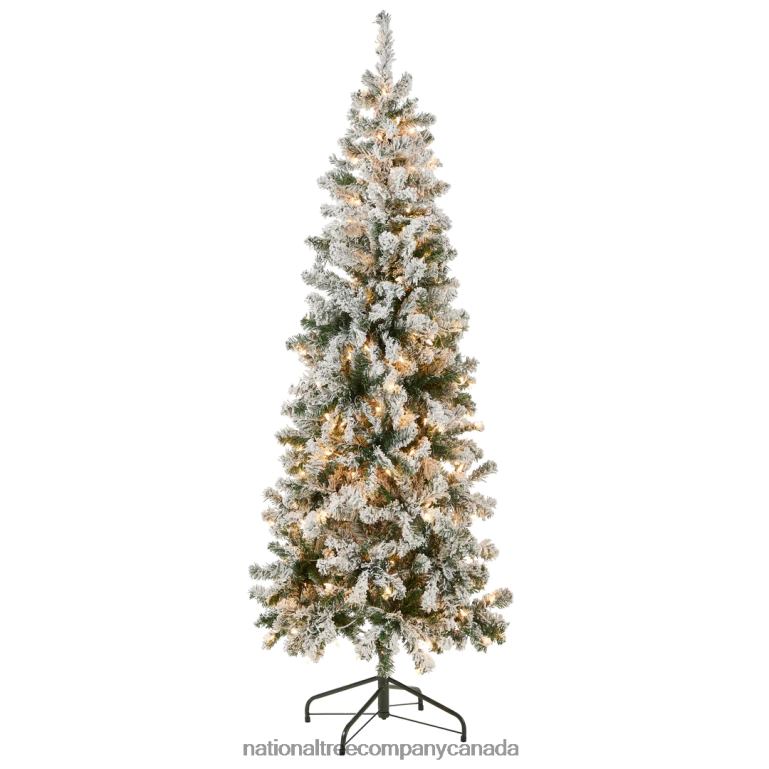 National Tree Company First Traditions Pre-Lit Acacia Flocked Tree Medium Christmas Tree Clear Incandescent Lights Plug In 6 ft 68R0841