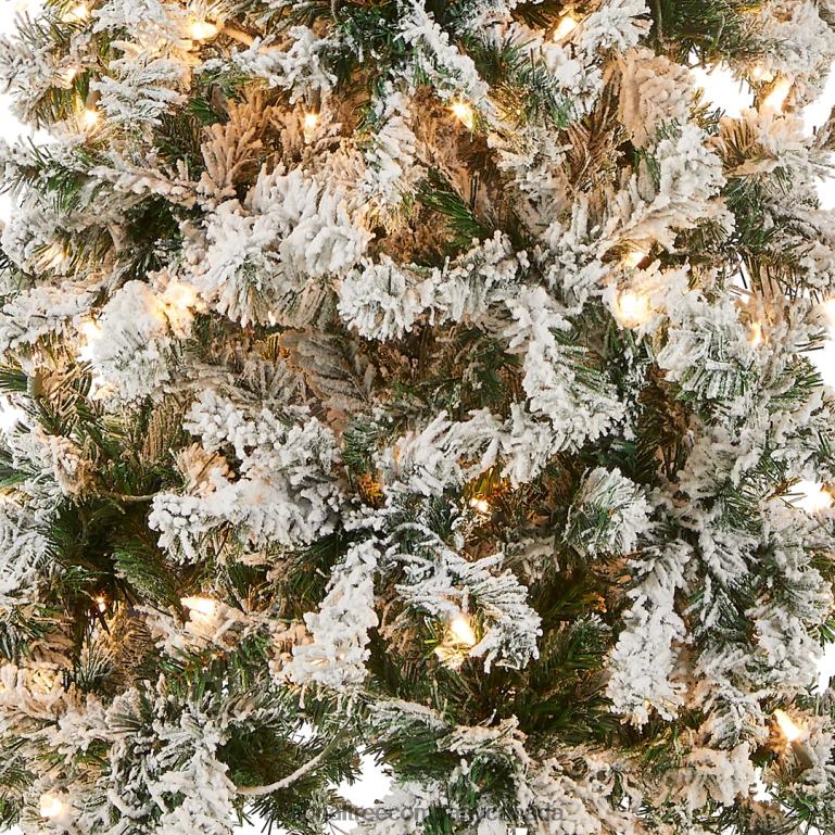 National Tree Company First Traditions Pre-Lit Acacia Flocked Tree Medium Christmas Tree Clear Incandescent Lights Plug In 6 ft 68R0841