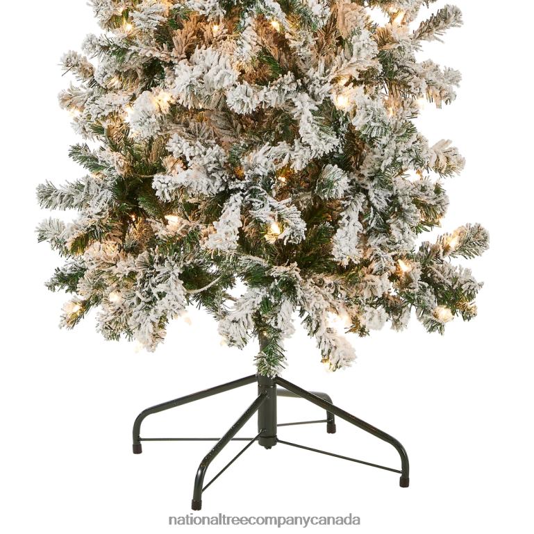 National Tree Company First Traditions Pre-Lit Acacia Flocked Tree Medium Christmas Tree Clear Incandescent Lights Plug In 6 ft 68R0841