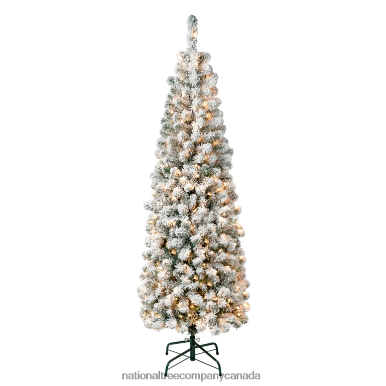 National Tree Company First Traditions Pre-Lit Acacia Flocked Tree Slim Christmas Tree Clear Incandescent Lights Plug In 6 ft 68R08117