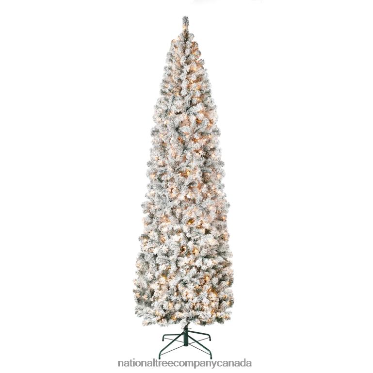 National Tree Company First Traditions Pre-Lit Acacia Flocked Tree Slim Christmas Tree Clear Incandescent Lights Plug In 9 ft 68R08116