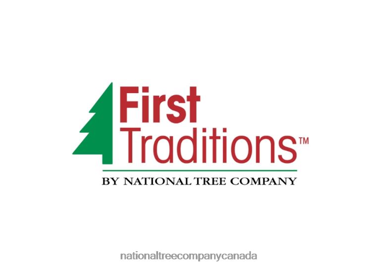 National Tree Company First Traditions Pre-Lit Acacia Flocked Tree Slim Christmas Tree Clear Incandescent Lights Plug In 9 ft 68R08116