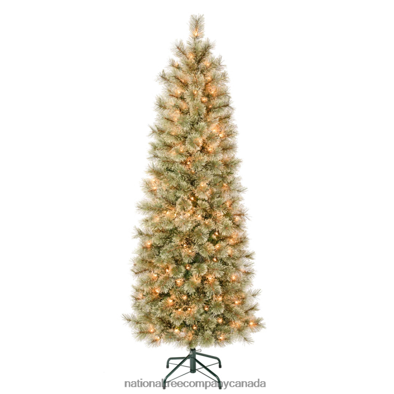 National Tree Company First Traditions Pre-Lit Arcadia Pine Cashmere Slim Christmas Tree Clear Incandescent Lights Plug In 6 ft 68R0857