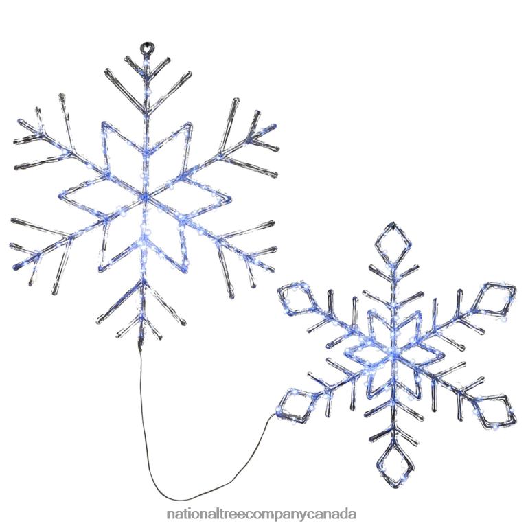 National Tree Company LED Light Ice Crystal Snowflakes Set of 2 68R08632