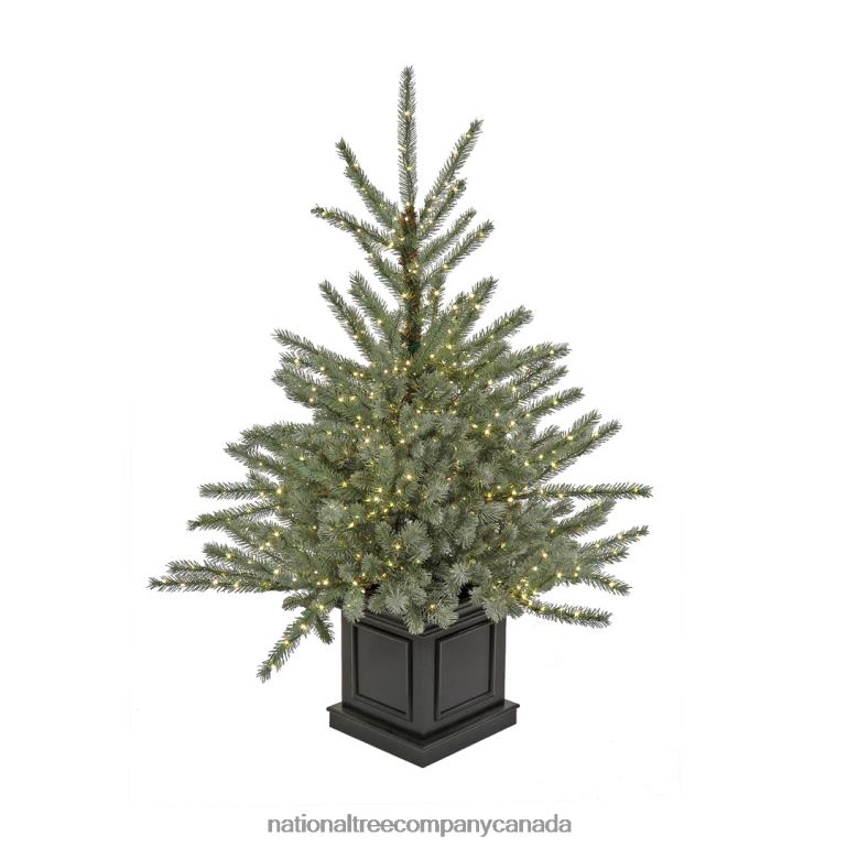 National Tree Company Pre-Lit Artificial Christmas Entrance Tree Blue Evergreen  Dual Rice LED Lights Plug in 48 in 68R0871