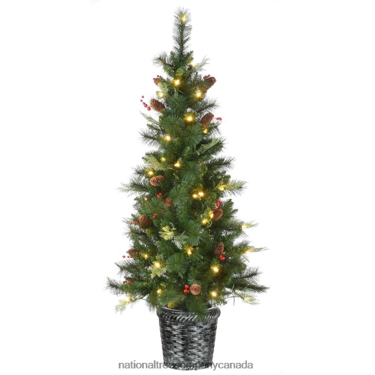 National Tree Company Pre-Lit Artificial Christmas Entrance Tree Buzzard Pine with Warm White LED Lights Plug in 5 ft 68R08106