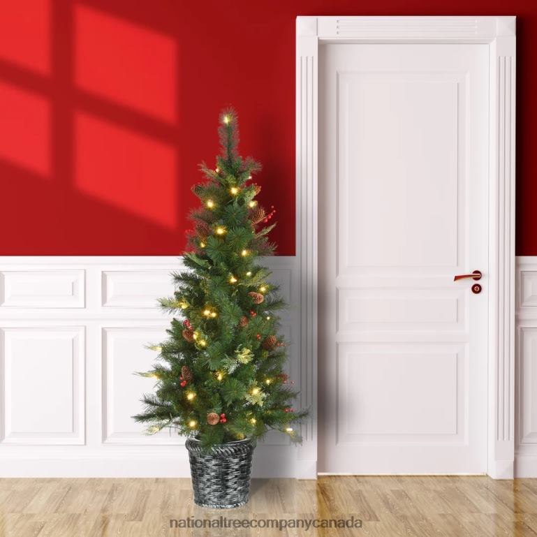 National Tree Company Pre-Lit Artificial Christmas Entrance Tree Buzzard Pine with Warm White LED Lights Plug in 5 ft 68R08106