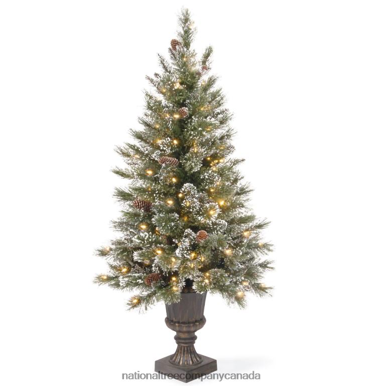 National Tree Company Pre-Lit Artificial Christmas Entrance Tree Glittery Bristle Pine with Twinkly LED Lights Plug in 4 ft 68R08170