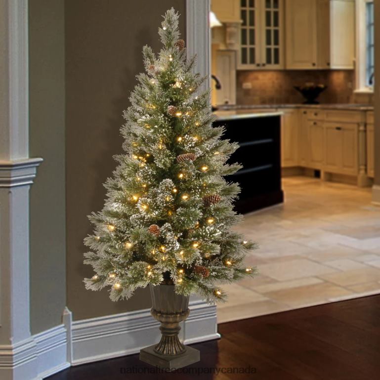 National Tree Company Pre-Lit Artificial Christmas Entrance Tree Glittery Bristle Pine with Twinkly LED Lights Plug in 4 ft 68R08170