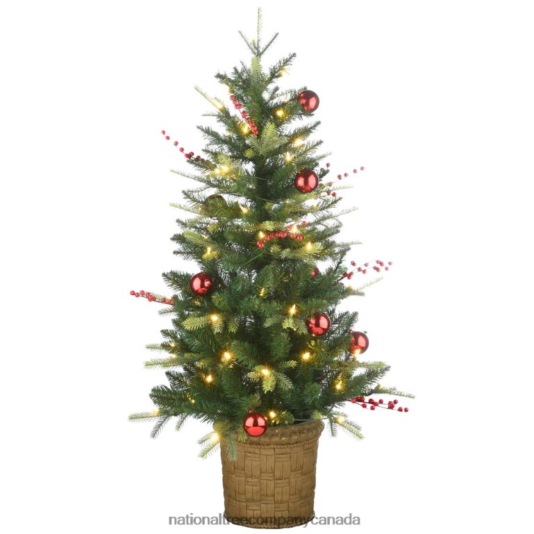 National Tree Company Pre-Lit Artificial Christmas Entrance Tree Scotch Creek Fir with Warm White LED Lights Plug in 4 ft 68R0894