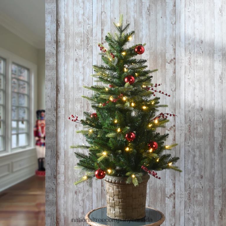 National Tree Company Pre-Lit Artificial Christmas Entrance Tree Scotch Creek Fir with Warm White LED Lights Plug in 4 ft 68R0894