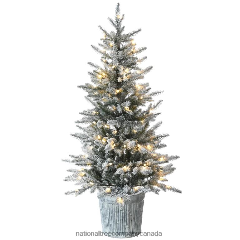 National Tree Company Pre-Lit Artificial Christmas Entrance Tree Snowy Alpine Fir with Warm White LED Lights Plug in 45 ft 68R08167