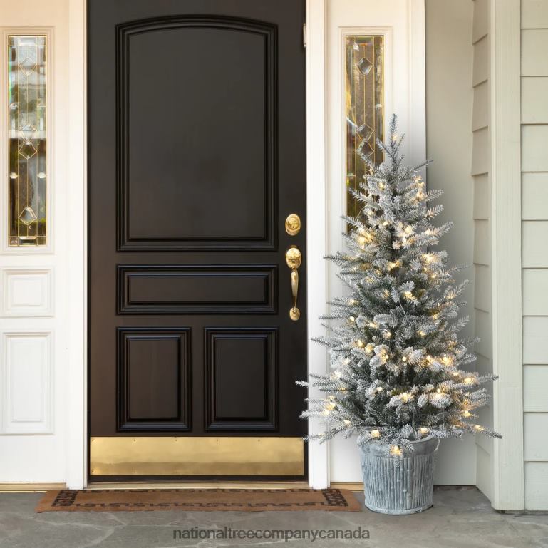 National Tree Company Pre-Lit Artificial Christmas Entrance Tree Snowy Alpine Fir with Warm White LED Lights Plug in 45 ft 68R08167
