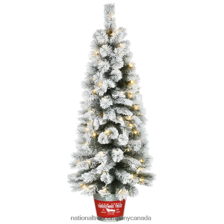 National Tree Company Pre-Lit Artificial Christmas Entrance Tree Snowy Pogue Pine with Warm White LED Lights Plug in 5 ft 68R08169
