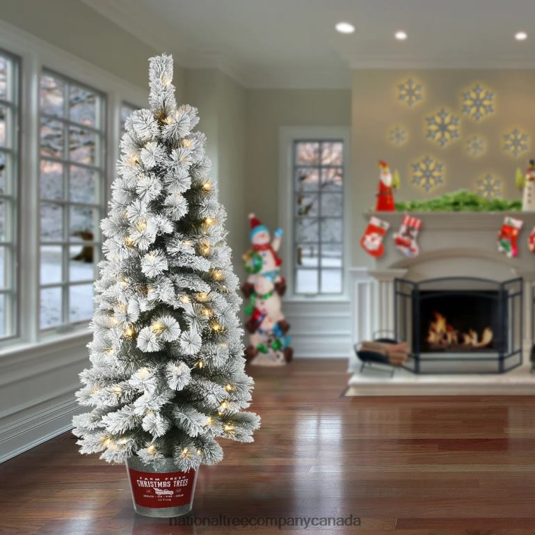 National Tree Company Pre-Lit Artificial Christmas Entrance Tree Snowy Pogue Pine with Warm White LED Lights Plug in 5 ft 68R08169