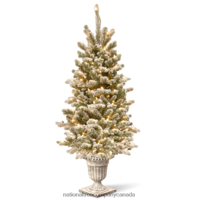 National Tree Company Pre-Lit Artificial Christmas Entrance Tree Snowy Sheffield Spruce with Twinkly LED Lights Plug in 4 ft 68R08138