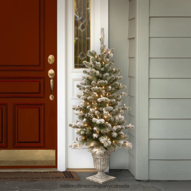 National Tree Company Pre-Lit Artificial Christmas Entrance Tree Snowy Sheffield Spruce with Twinkly LED Lights Plug in 4 ft 68R08138