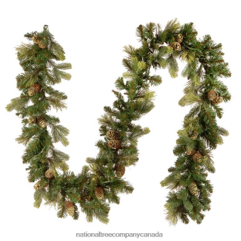 National Tree Company Pre-Lit Artificial Christmas Garland Green Carolina Pine White Lights Decorated with Pine Cones Plug In Christmas Collection 9 Feet 68R08326